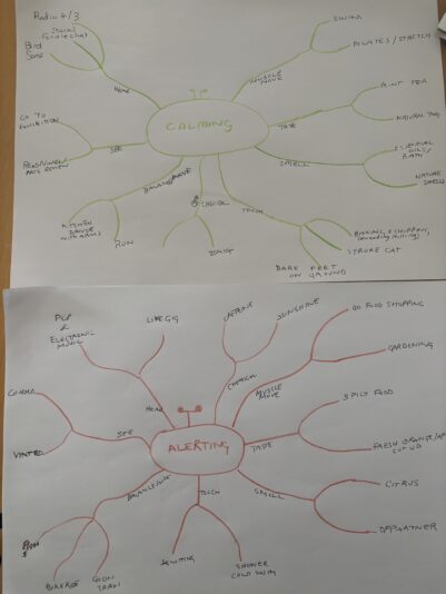 my sensory spiders