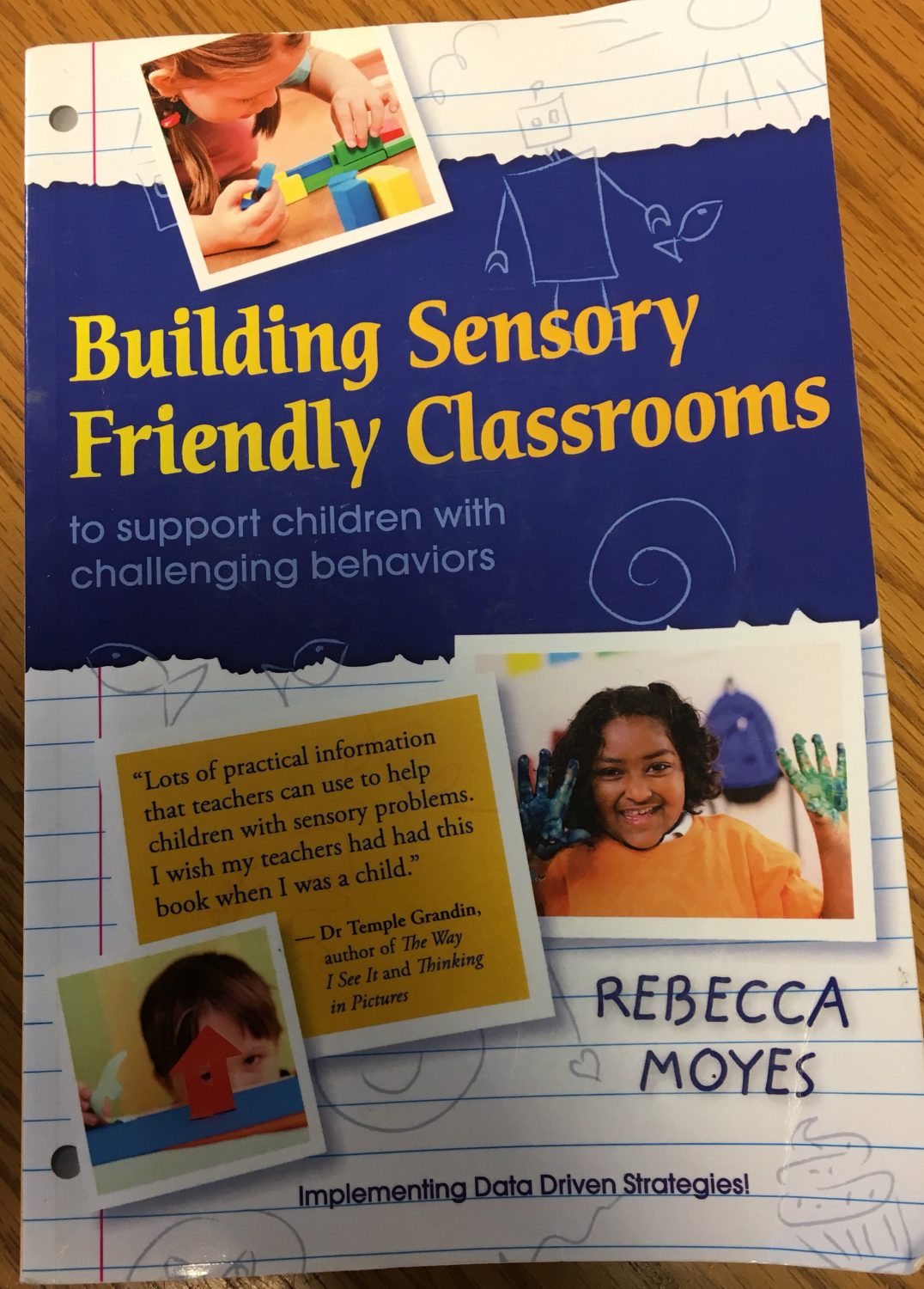 teachers sensory strategies