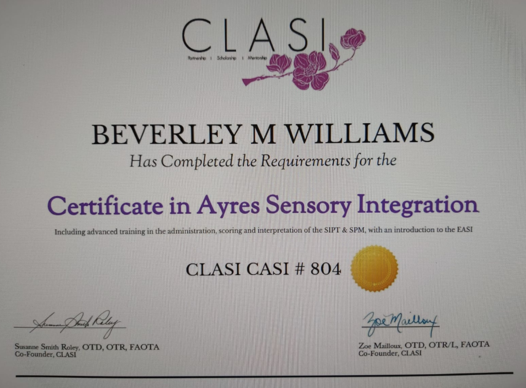 Certification in Ayres Sensory Integration ASI Wise Sensory Project