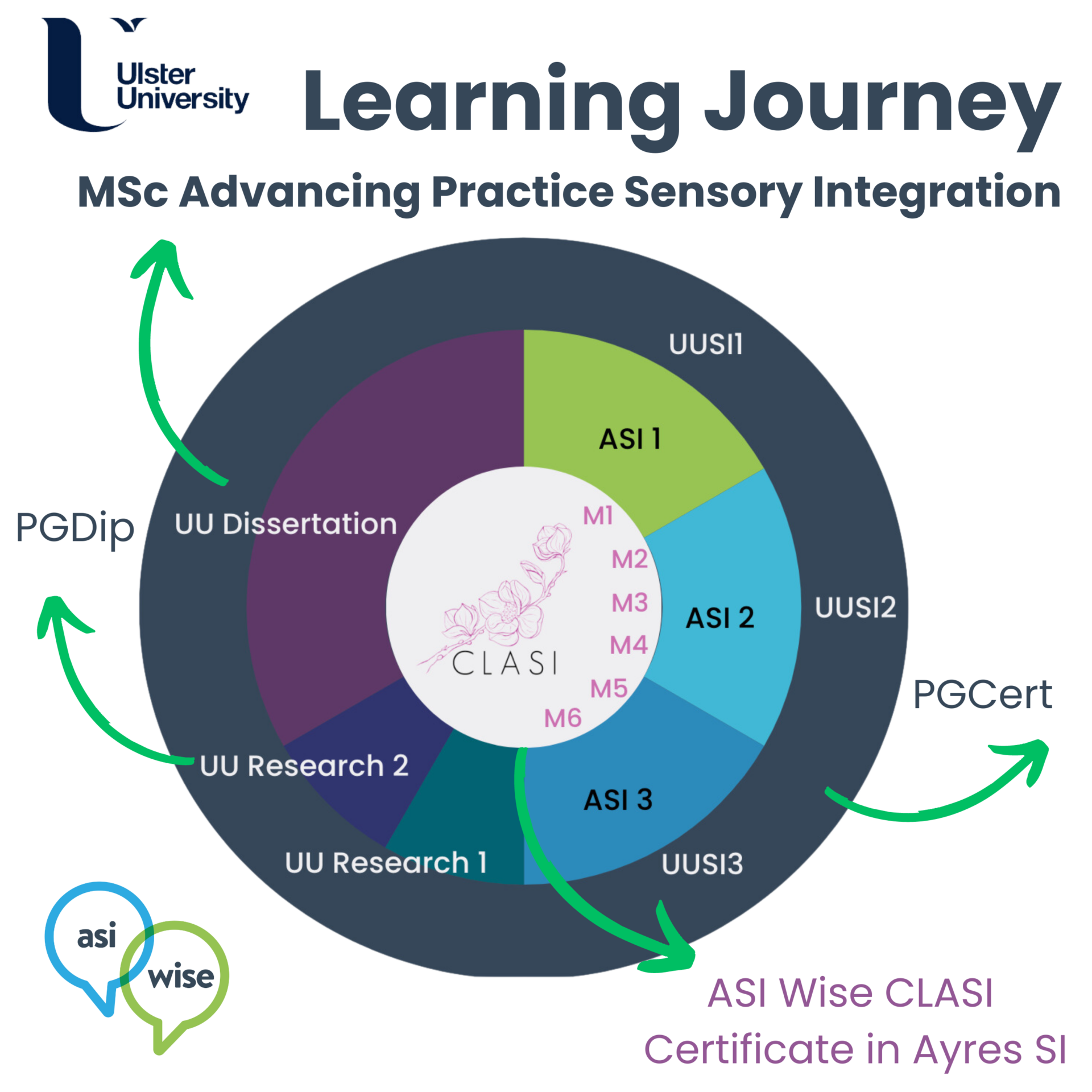 Unparalleled Educational Pathway in Ayres Sensory Integration® (ASI ...
