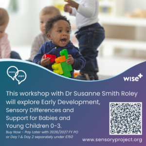 Workshop | Supporting infant and child development - Dr Susanne Smith Roley