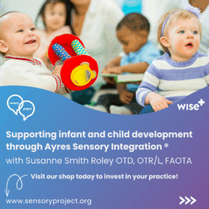 Workshop | Supporting infant and child development - Dr Susanne Smith Roley
