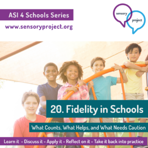 20. Fidelity in Schools