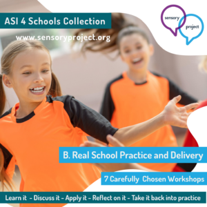 ASI 4 Schools Collection B | Real School Practice and Delivery
