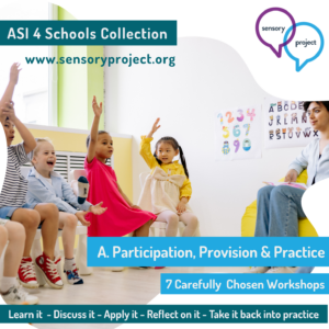 ASI 4 Schools Collection A | Participation, Provision and Practice