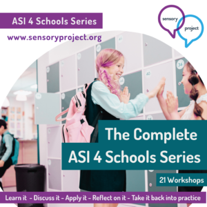 00. Ayres Sensory Integration in Schools Workshop Series