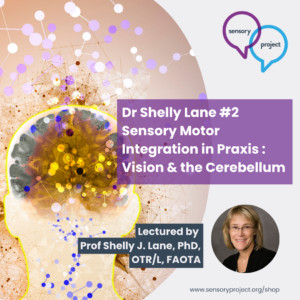 Dr Shelly Lane #2 Sensory Motor Integration in Praxis : Vision & the Cerebellum