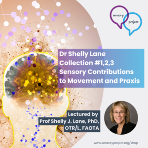 Dr Shelly Lane | Collection #1,2,3 Sensory Contributions to Movement and Praxis