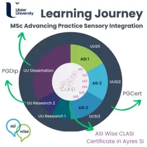 ASI-Wise-CLASI-Certificate-in-Ayres-Sensory-Integration-with-or-without-MSc-Advancing-Practice-Sensory-Integration-with-Ulster-University-300x300-1.png